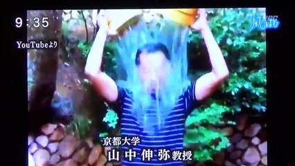 タイ人女性の代理出産に波紋 依頼元のオーストラリアの夫婦がダウン症の子を引き取らず 日本人は？