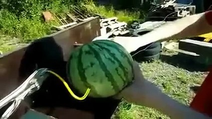 Karpuza elektrik verilirse ne olur_