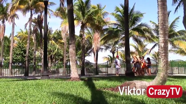 Asking Black People Do You Want A Black Eye (GONE WRONG) - Pranks Punched - Hood Prank Goes Bad