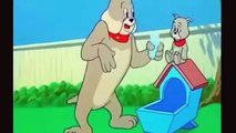 Türkçe Çizgi Film / Tom ve Jerry Çizgi Film
