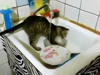 Ели все, а посуду мыть так Вася