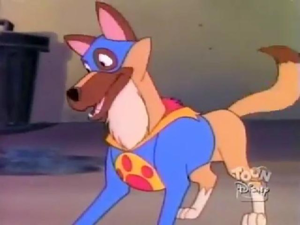 Donald Duck Chip And Dale Goofy Pluto