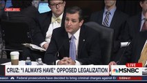 Cruz urges adoption of amendment 2013