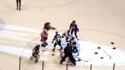 Little Hockey Players Start Massive Brawl During Minor League Intermission