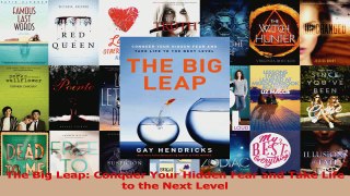 PDF Download  The Big Leap Conquer Your Hidden Fear and Take Life to the Next Level Download Online