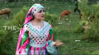 Gul Rukhsar Pashto New Song Pushtotube.net
