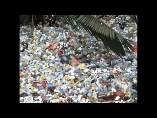 Ribuan Sampah Selimuti Hutan Mangrove