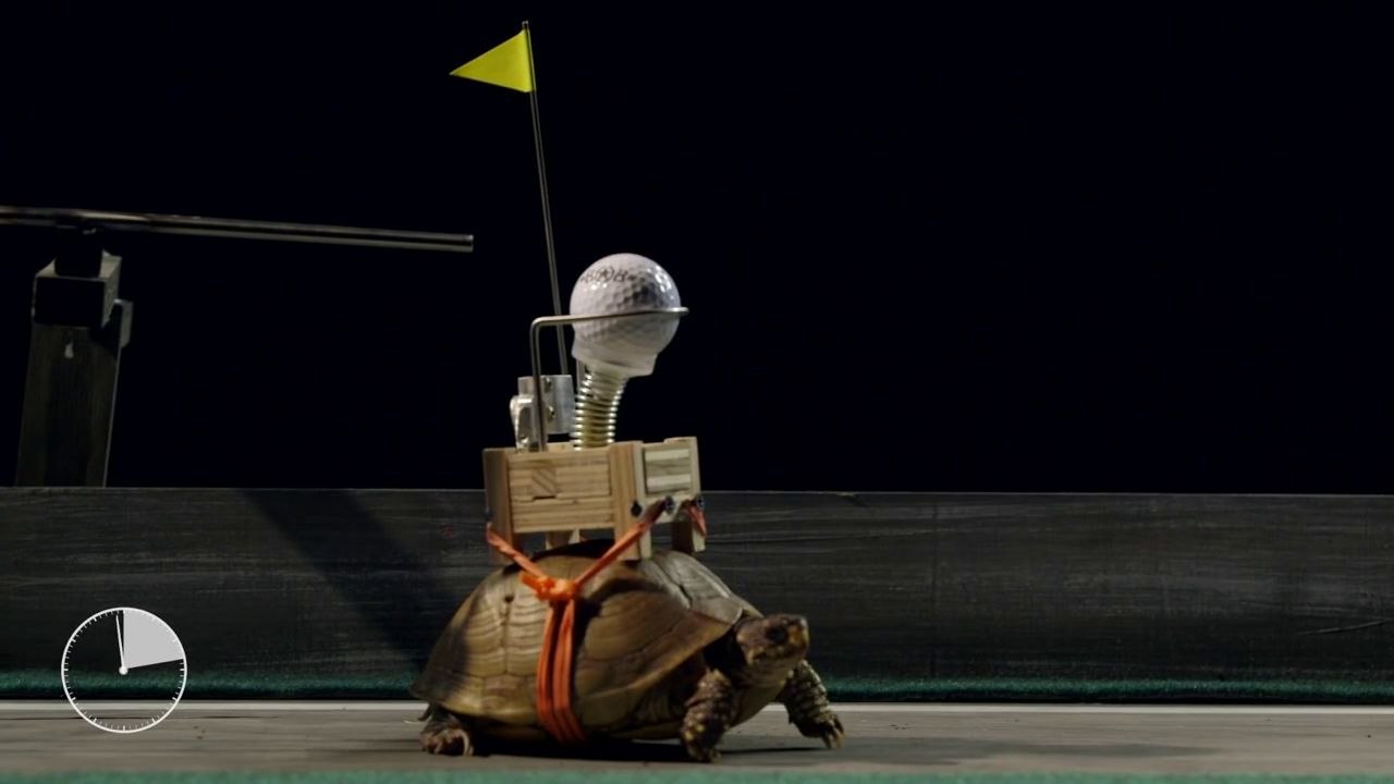 Machine de Rube Goldberg la plus lente