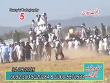 bull race  Funny videos people fail BULL RACE