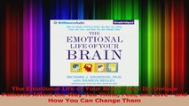 PDF Download  The Emotional Life of Your Brain How Its Unique Patterns Affect the Way You Think Feel Download Full Ebook