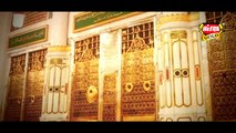 Hum Ko Bulana Ya Rasool Allah HD Full Video Naat [2015] Muhammed Tahir Qadri