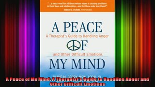 A Peace of My Mind A Therapists Guide to Handling Anger and Other Difficult Emotions