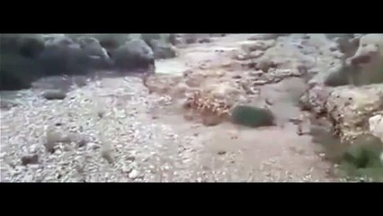 This Is What Flash Flood Looks Like! HOLY SHIT!