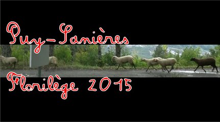Puy-Sanières le florilège 2015