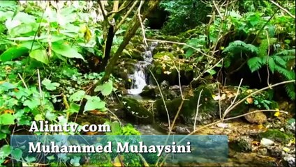 Tekesur Suresi Dinle Muhammed Muhaysini