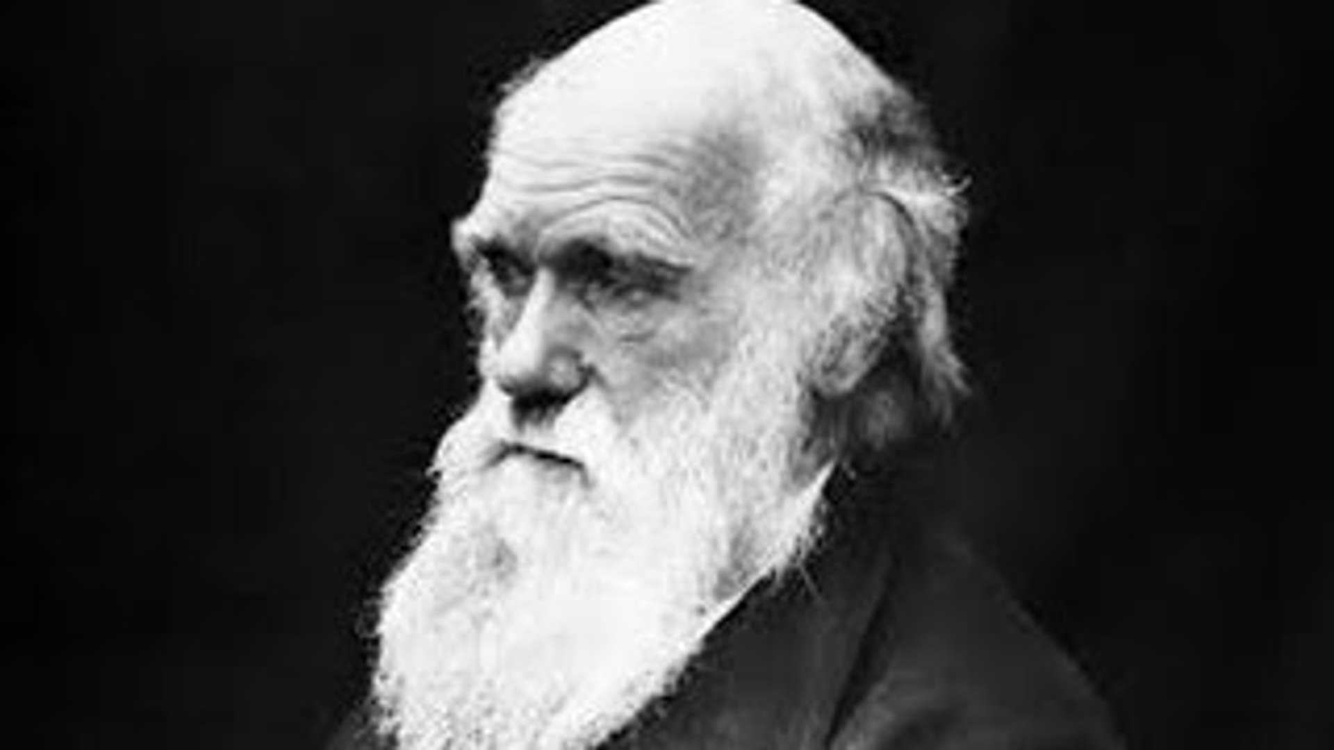 Darwin 200 Anos (Dublado) Documentários
