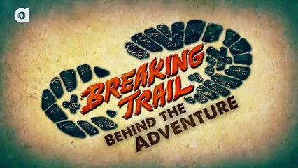 Stealthy Harbor Seal Encounter - YouTube