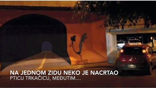 Ptica trkacica zid - video dailymotion