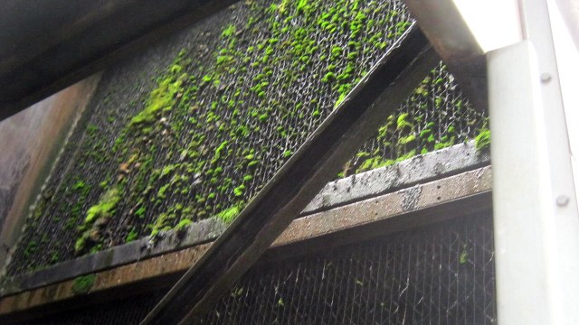 AdvantaClean of Monroe: Industrial Equipment Cleaning, Mold Removal Services in Monroe NC