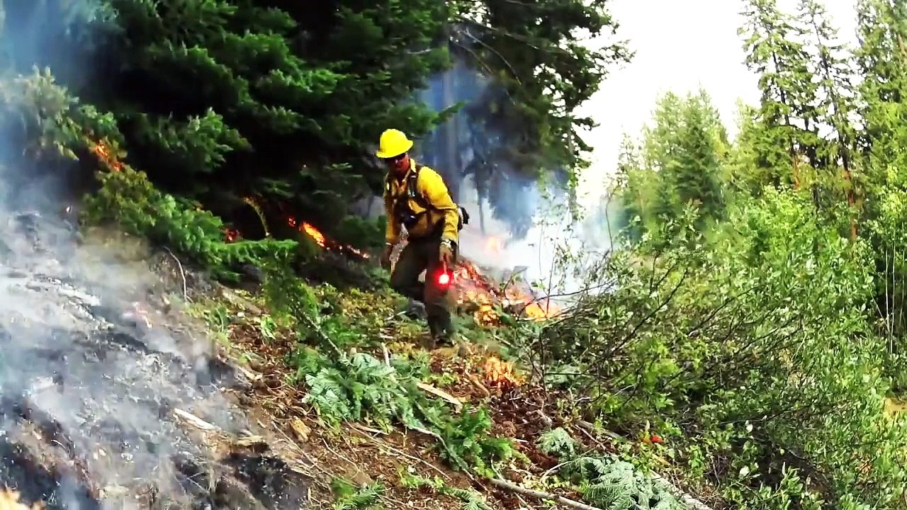 The Best Job In The World