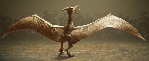 Dinozorlar Serisi | Jurassic Döneminin Uçan Yaratıkları