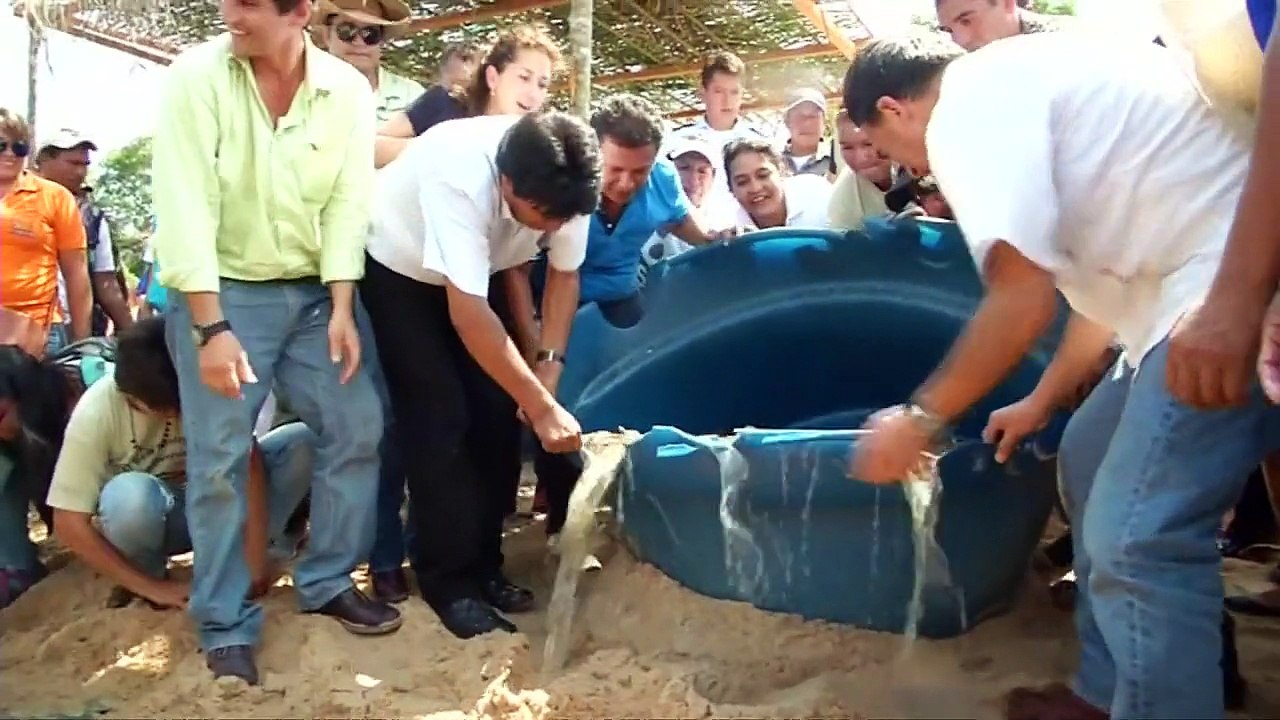 Bolivia releases over 100,000 baby turtles into the wild