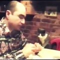 İşitme Engelli Sahibinden İşaret Diliyle Yemek İsteyen Kedi