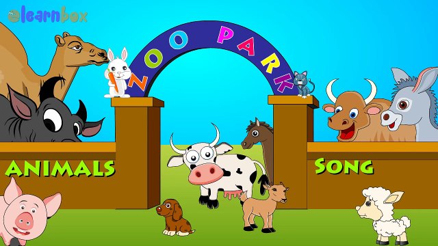 Pet Supplies And Accessories Stores Online