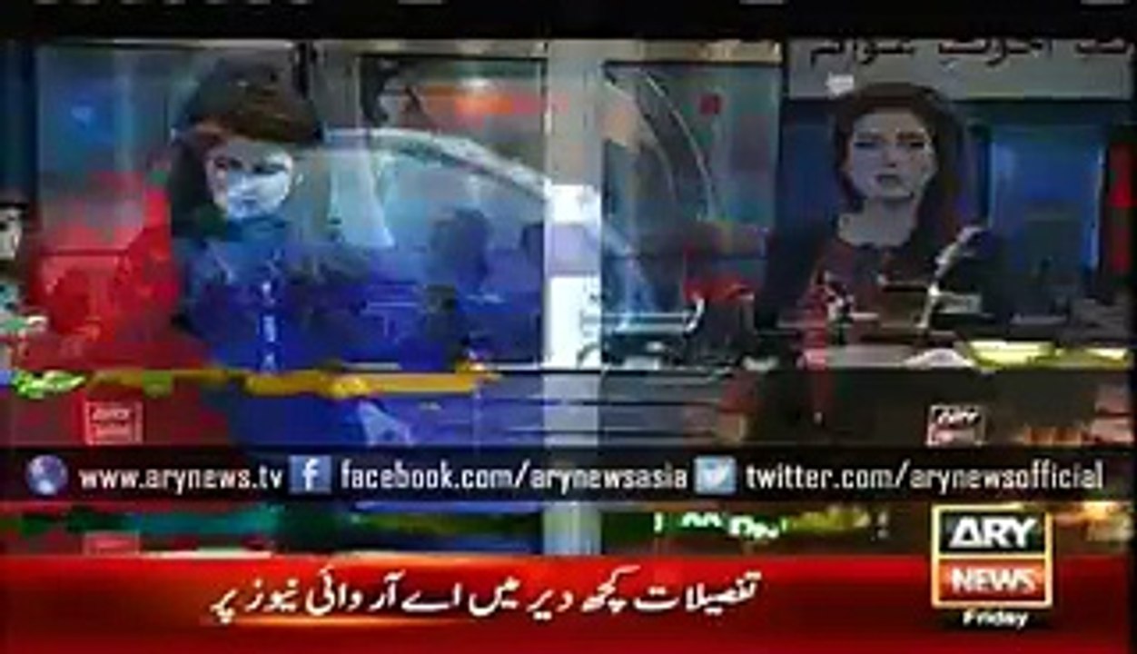 PANGOLIN Found in Karachi