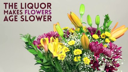 7 Surprising Vodka Hacks