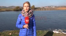 Ndotja e liqeneve të Belshit, Tafani: Derdhen dhe ujëra të zeza  - Ora News- Lajmi i fundit-