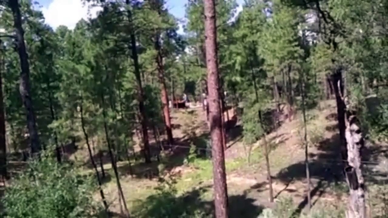 Get that ziplining groupon deal