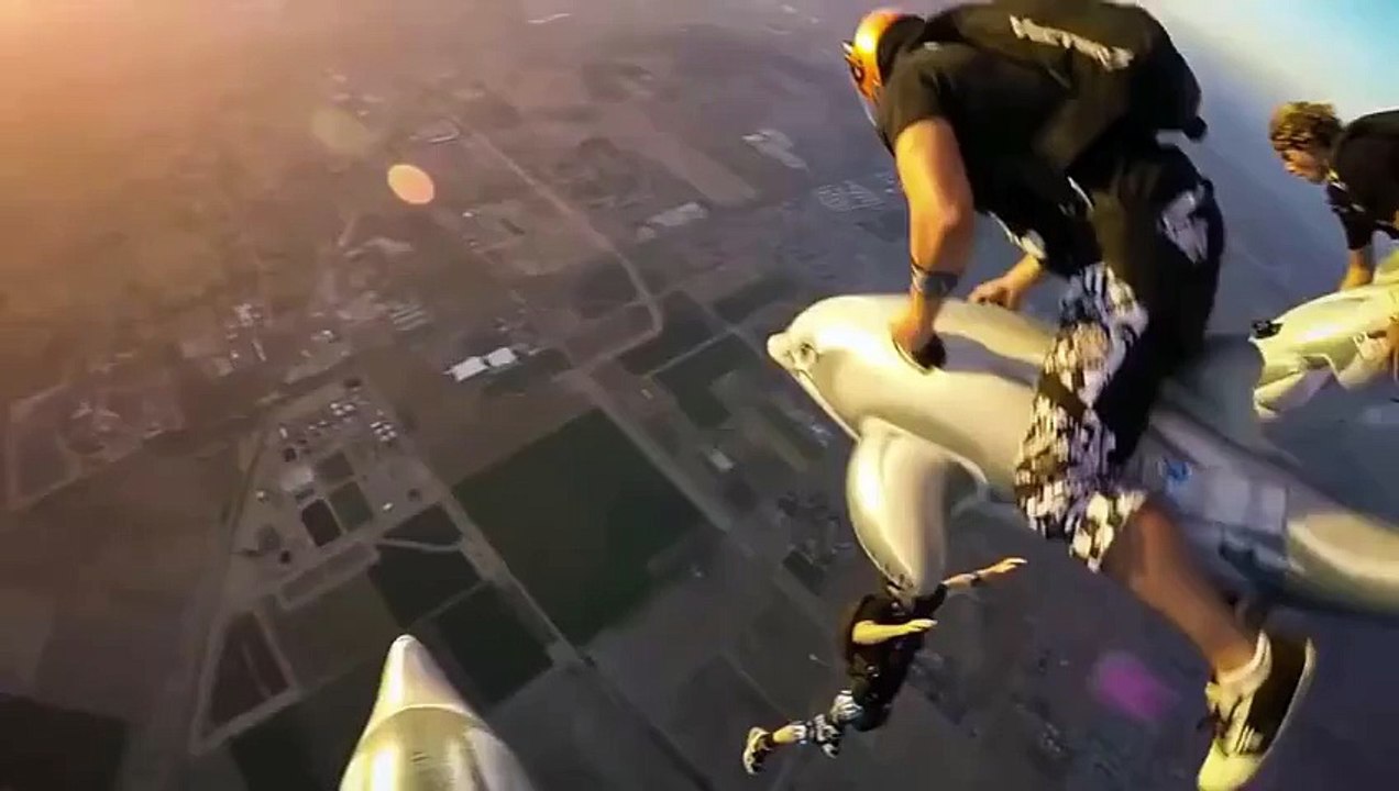 В небе на дельфинах