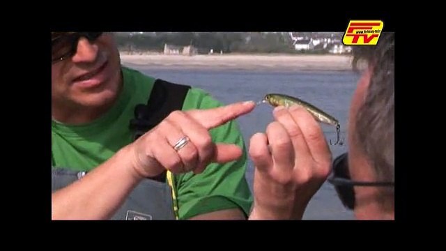 Pêche du Bar - Les leurres durs