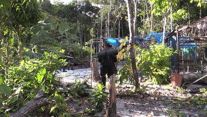 'Beaches' from illegal mining scar Colombia's Amazon