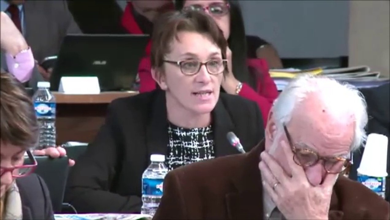Céline TONOT. Programme immobilier 2016 des collèges publics. Décembre 2015