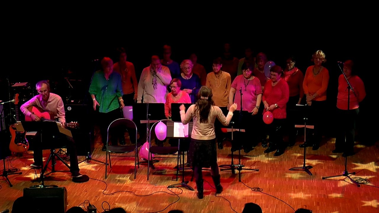 Maison des Arts : A nous d'chanter 2015 - La chorale du Tillay