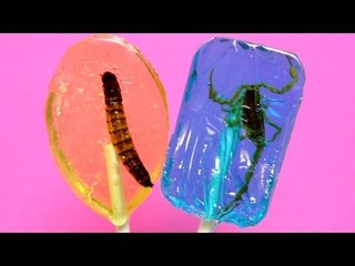 Would you eat a Lollipop with insects? Edible Insect Candy