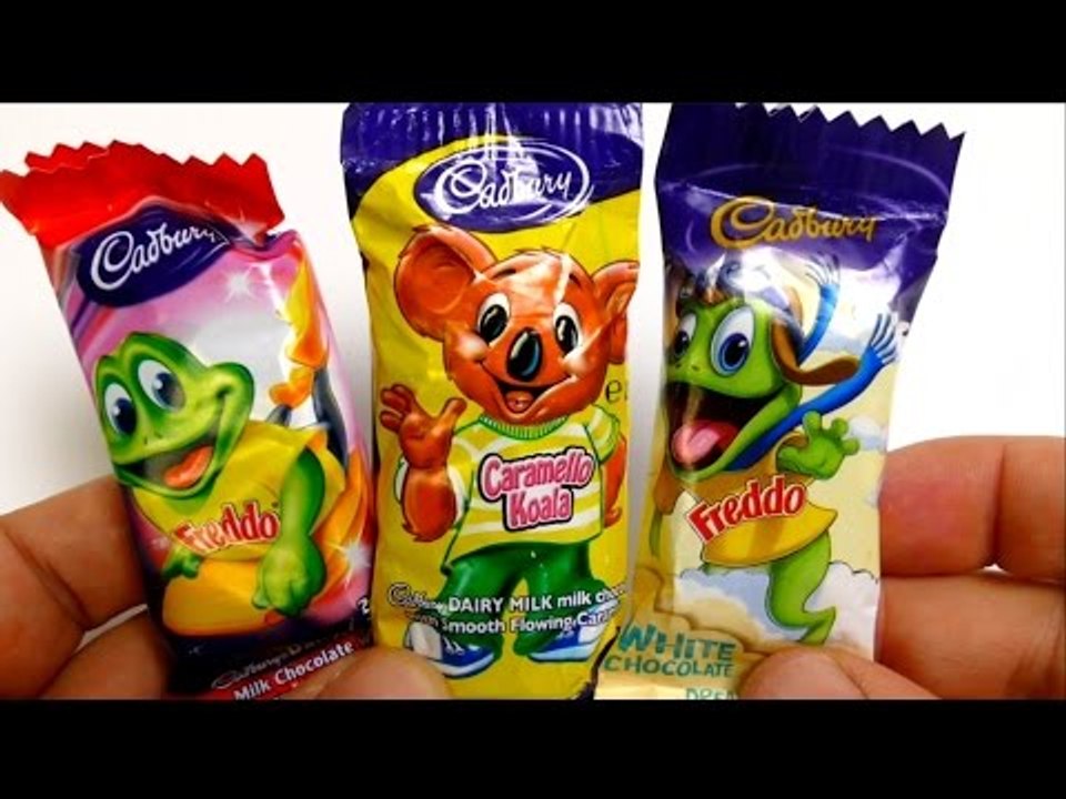 Caramello Koala & Freddo Chocolate Candy from Australia