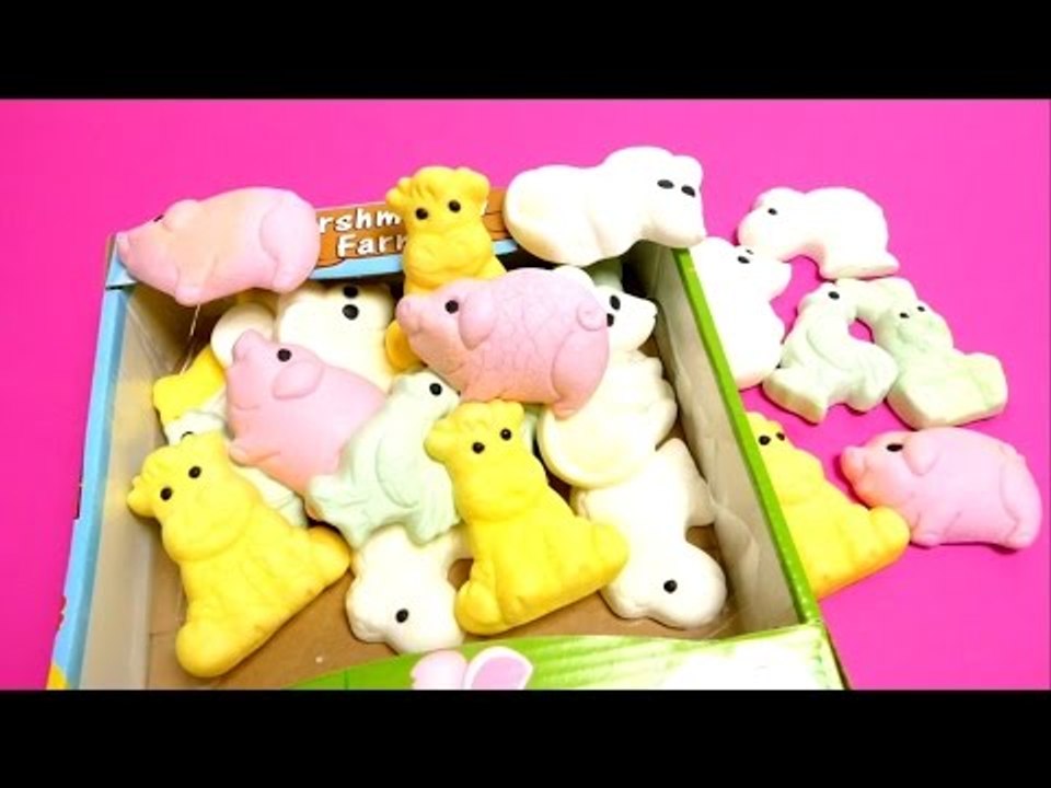 Marshmallow Farm - Candy Animals
