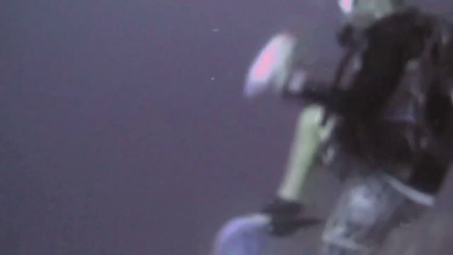 Un requin attaque un plongeur en Papouasie Nouvelle Guinée