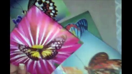 DIY Chipboard Butterflies and Stencil Tutorial
