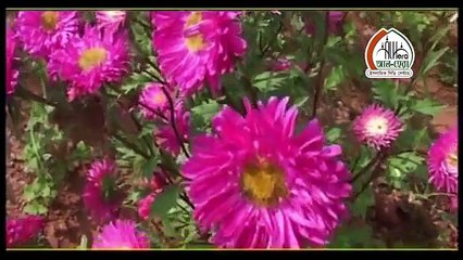 Bangla Waz Allama Jiaul Haq Ansari Aiub (A.)Er jiboni   Part-1