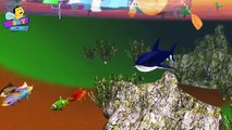 Finger Family Shark Family Nursery Rhyme 3D | Animal Finger Family | Fish Finger Family fo