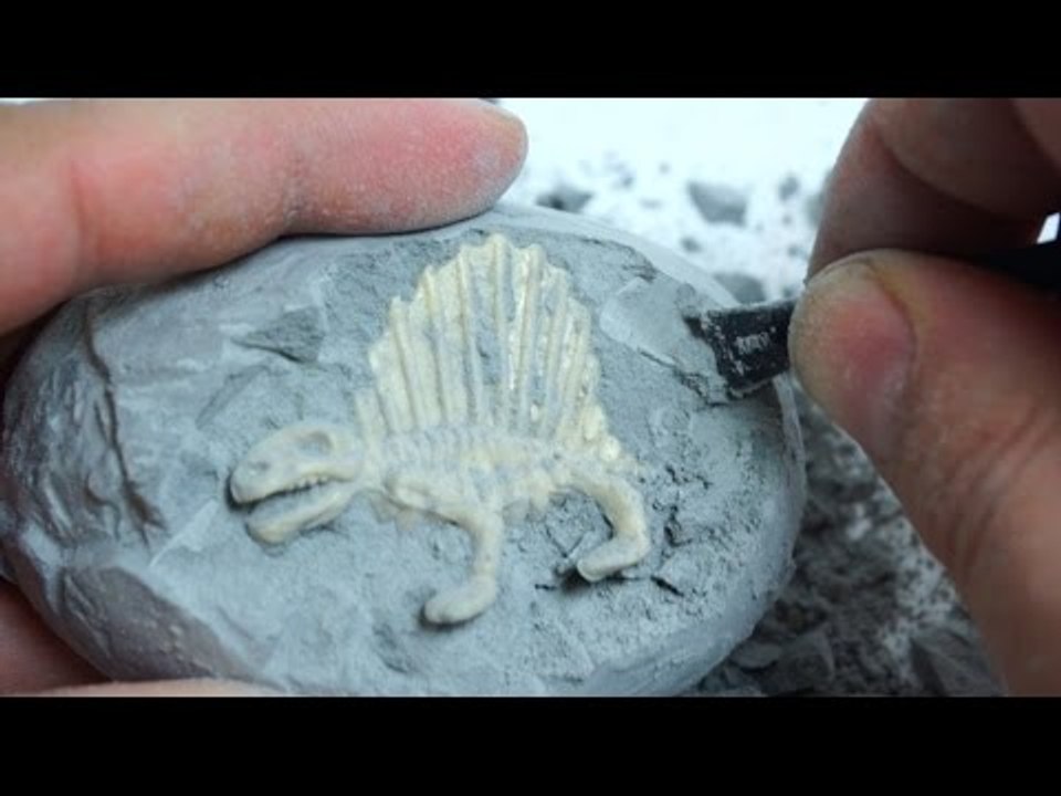 Dinosaur Skeleton Excavation  PlaySet Surprise Egg  Simba