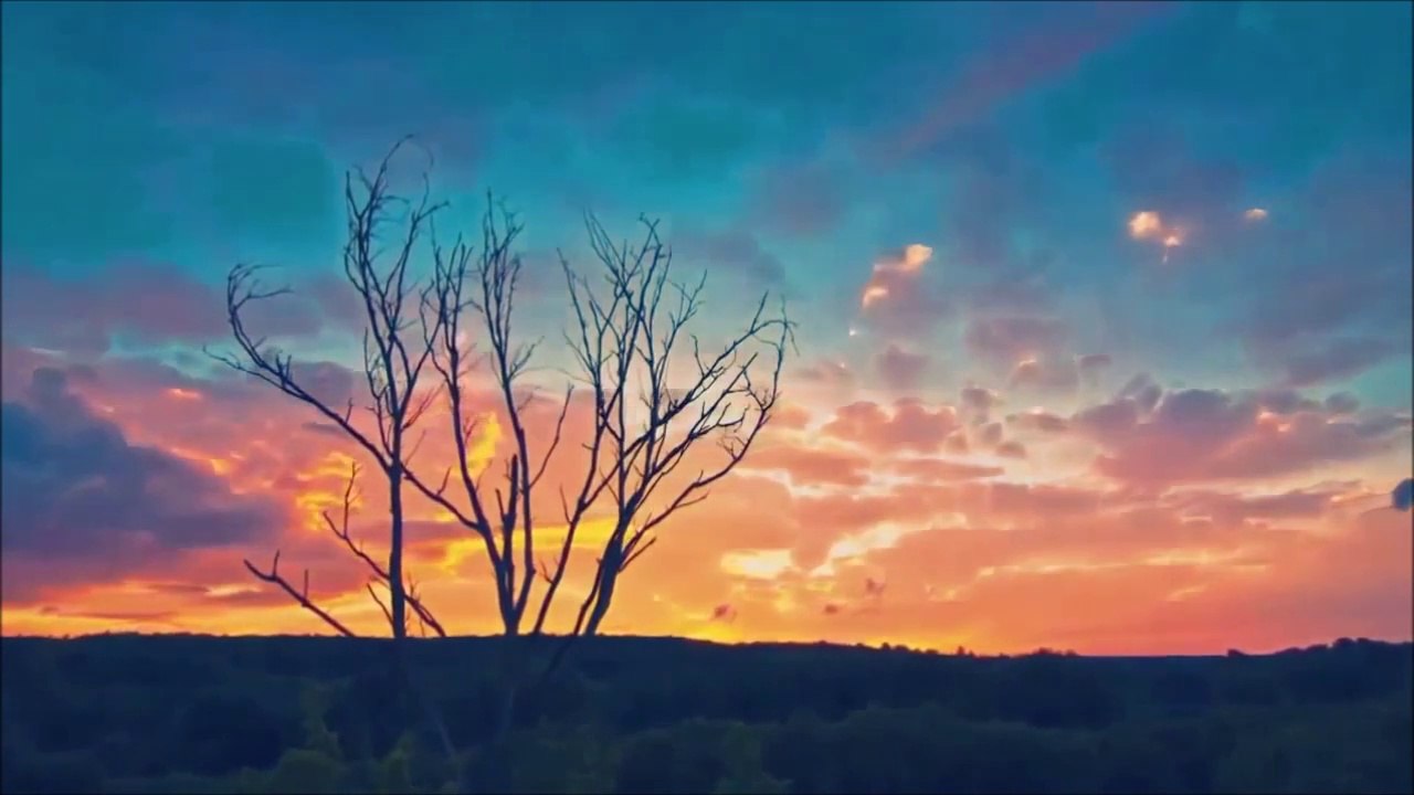 Of The Wand And The Moon - Watch The Skyline Catch Fire