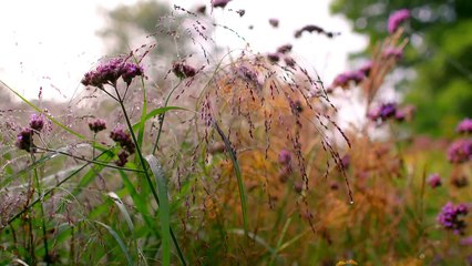Documentary - The Secret Life of Books 5of5 Cider with Rosie