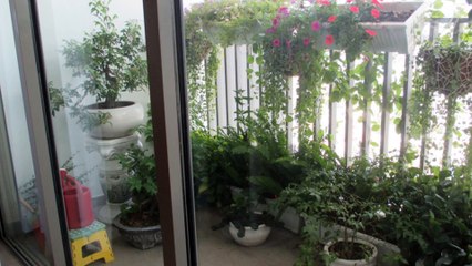 Apartment for rent in District 7, Ho Chi Minh City, Vietnam