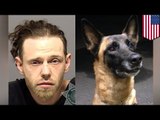 Pencuri tissue toilet ditangkap anjing polisi