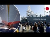 Jepang melanjutkan pembantaian ikan Paus, menentang hukum internasional - TomoNews